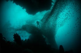 ¿Qué ocurre bajo el mar durante un eclipse? El inédito experimento de científicos chilenos