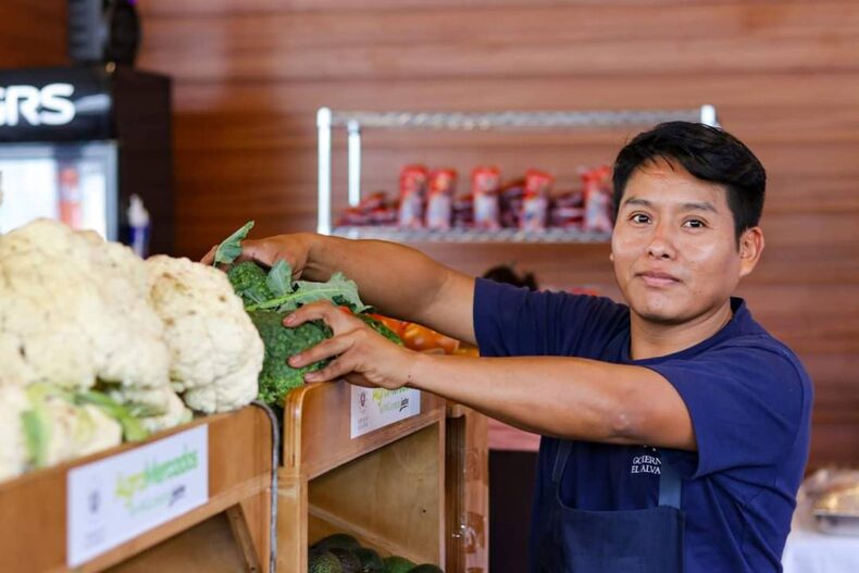 Bukele agricultural markets