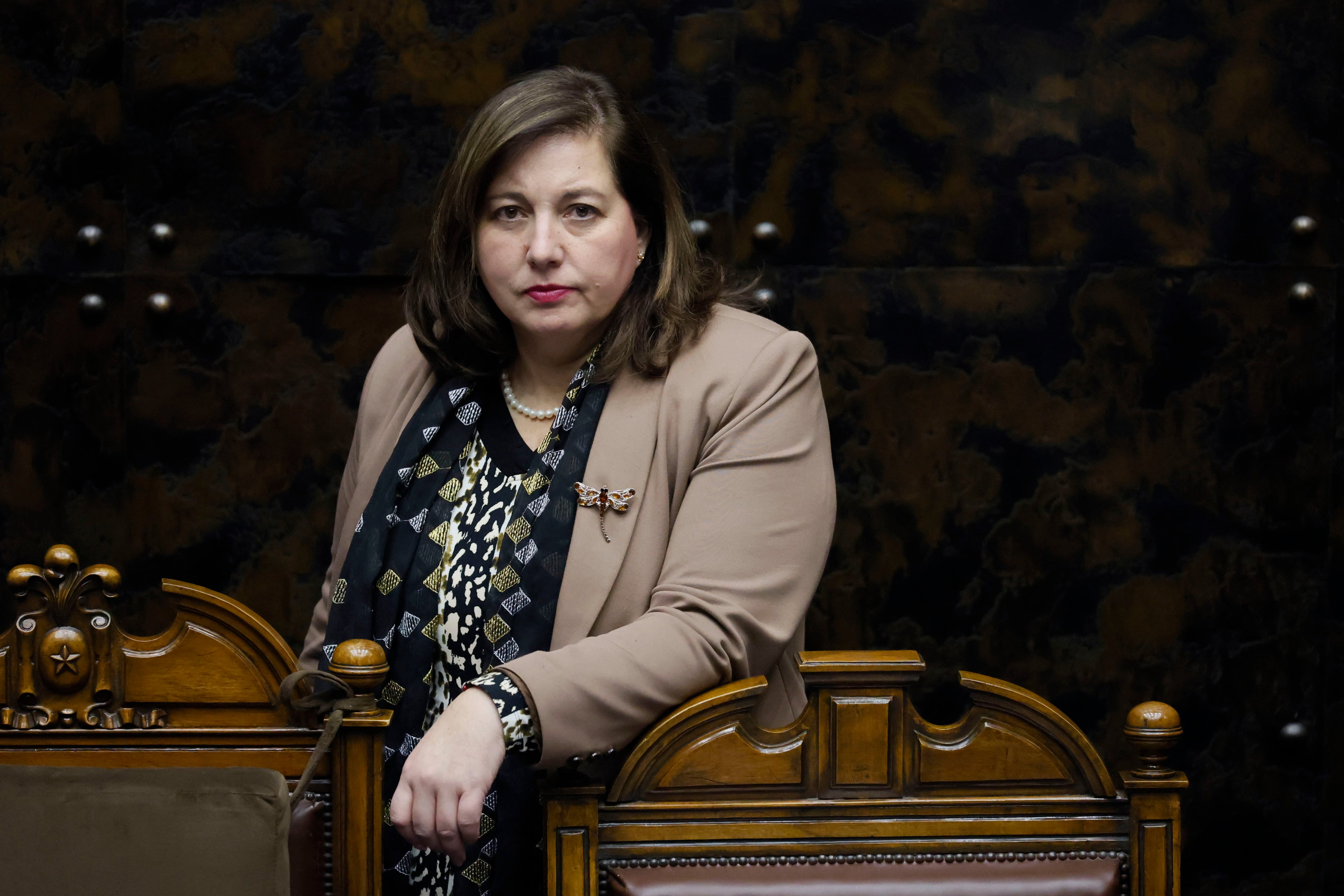 “La otra cara de La Moneda”: Vodanovic (PS) propone un “Segundo Piso” que asesore la estrategia de la oposición
