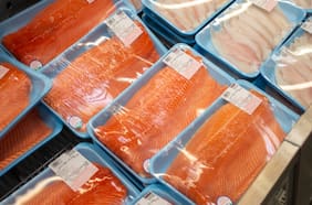 Medio estadounidense alerta sobre el salmón chileno: “Es menos respetuoso con el medio ambiente”
