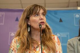 Incendios: ministra (s) del Minvu dice que catastro de viviendas podría estar listo esta semana