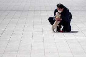 Mí perro y yo en la interminable soledad de la pandemia