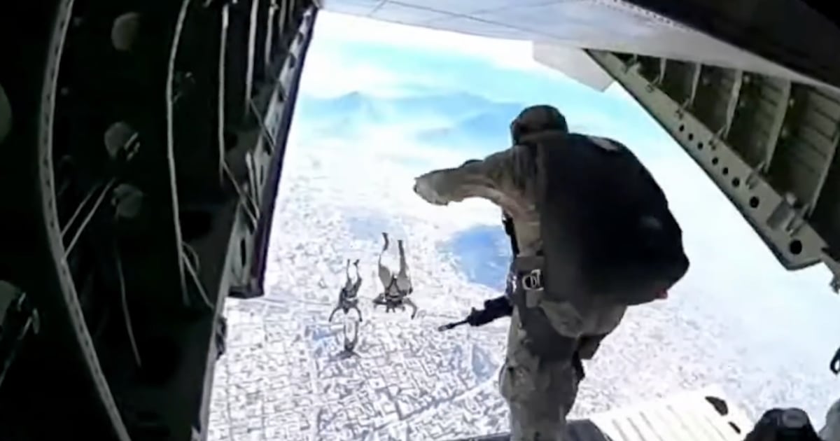 Con espectacular show aéreo paracaidistas aterrizan en elipse del Parque O´Higgins dando inicio a la Parada Militar