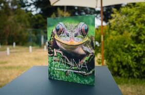 Museo Chileno de Arte Precolombino y Santander presentan “Fauna, un recorrido por el endemismo de Chile”