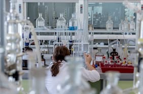 Más de tres mil becarios afectados por la pandemia podrán pedir extensión de becas para completar doctorados