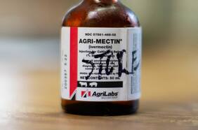 Ivermectina: pese a que no hay evidencia de que sirva para tratar Covid-19 se dispara venta de este antiparasitario en Chile