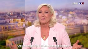 Mientras Francia arde por los incendios forestales, partido de Le Pen ve oportunidad para sacar réditos políticos