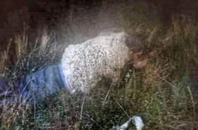 Reo boliviano intenta escapar de la cárcel disfrazado de oveja