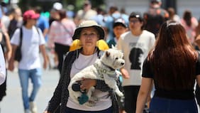 Las localidades de Chile que rompieron récords históricos de calor extremo en febrero de 2026
