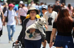 Las localidades de Chile que rompieron récords históricos de calor extremo en febrero de 2026