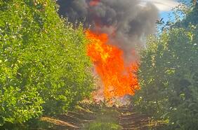 Avión que se dirigía desde Temuco a Villarrica capotó en predio agrícola de Freire