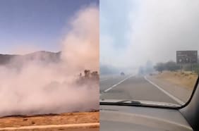 Provocó problemas de visión en Ruta 68: controlan incendio forestal que afectó poco más de 10 hectáreas en Casablanca