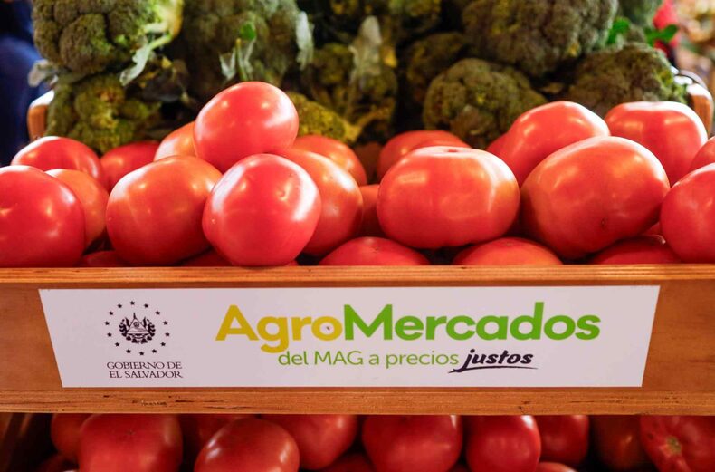 Bukele agricultural markets