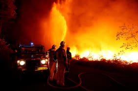 Incendios y temperaturas récord en Europa y Estados Unidos: la ONU alerta sobre “suicidio colectivo” por crisis climática