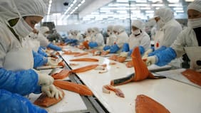 SalmonChile anuncia incorporación de Invermar al gremio