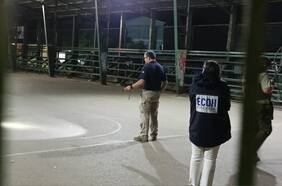 Defensoría de la Niñez anuncia que tomarán acciones por crimen de menor de 11 años en Peñaflor