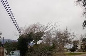 Fuertes vientos en la RM dejan a más de 25 mil clientes sin suministro eléctrico