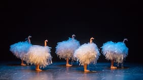 Fundación CorpArtes presenta nueva temporada de la compañía La Llave Maestra