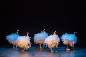 Fundación CorpArtes presenta nueva temporada de la compañía La Llave Maestra