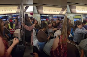 Normas básicas, sentido común y empatía