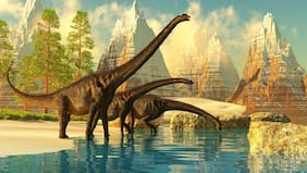 Primer fósil de dinosaurio descubierto en la Antártida: esto se sabe de los restos del titanosaurio