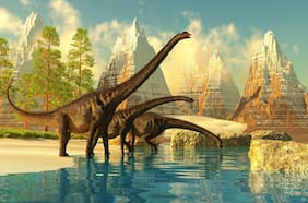 Primer fósil de dinosaurio descubierto en la Antártida: esto se sabe de los restos del titanosaurio