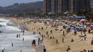 Descifra: 49% de los chilenos cree que el comportamiento en vacaciones y feriados ha empeorado
