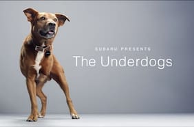 Subaru se compromete con los perros y la causa Make a Dog’s Day