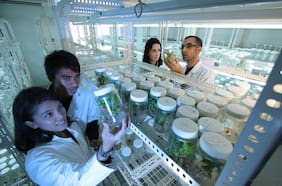 Geología con paleontología, psicología con informática o matemáticas con biología: hoy la ciencia es colaborativa