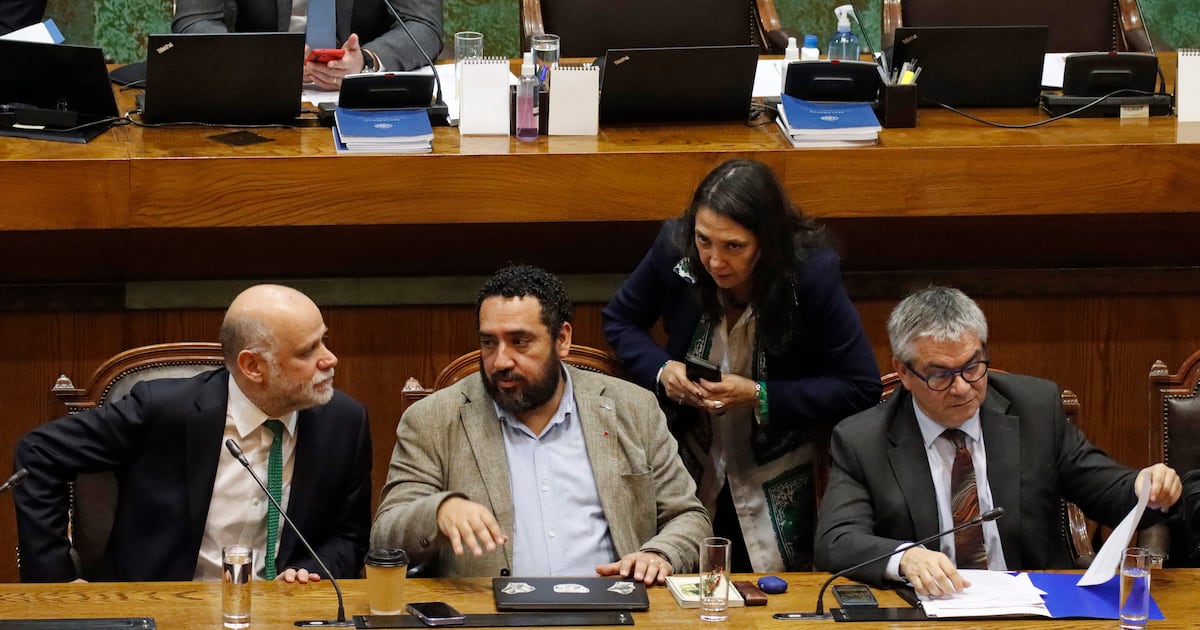 Sylvia Eyzaguirre y el sistema de financiamiento de la educación superior: Un proyecto que resuelve para el Estado y complica a estudiantes e instituciones