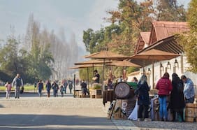 Santa Rita anuncia venta de inmuebles y derechos de agua en la VI Región