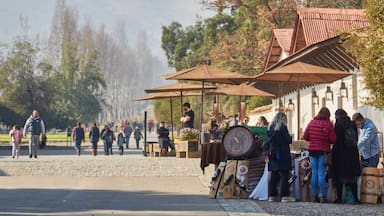 Santa Rita anuncia venta de inmuebles y derechos de agua en la VI Región