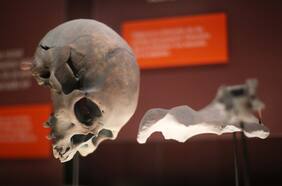 Una pareja diaguita a escala real y 1.350 piezas patrimoniales incluye la reapertura del Museo Arqueológico de La Serena tras cuatro años de remodelación