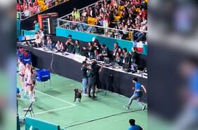 Perro interrumpe partido de vóleibol femenino en los Panamericanos