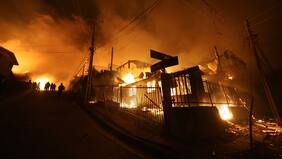 Cogrid confirma primer fallecido por incendios en Ñuble y reporta lesionados en Biobío