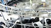 La leche: una industria en movimiento y al alza