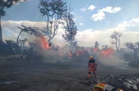 “El viento dejó de soplar”: mejora en el tiempo permitió a aviones sumarse a combate del incendio en Tierra del Fuego