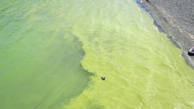 Ambicioso proyecto busca descontaminar el lago Villarrica en 15 años y una inversión de US$ 56 millones