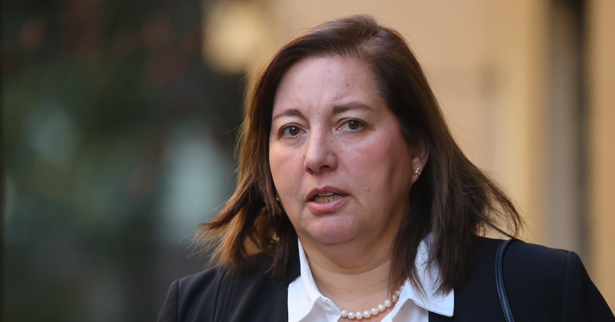 Vodanovic admits a pamphlet error against Kast, but calls on the right not to use it as a