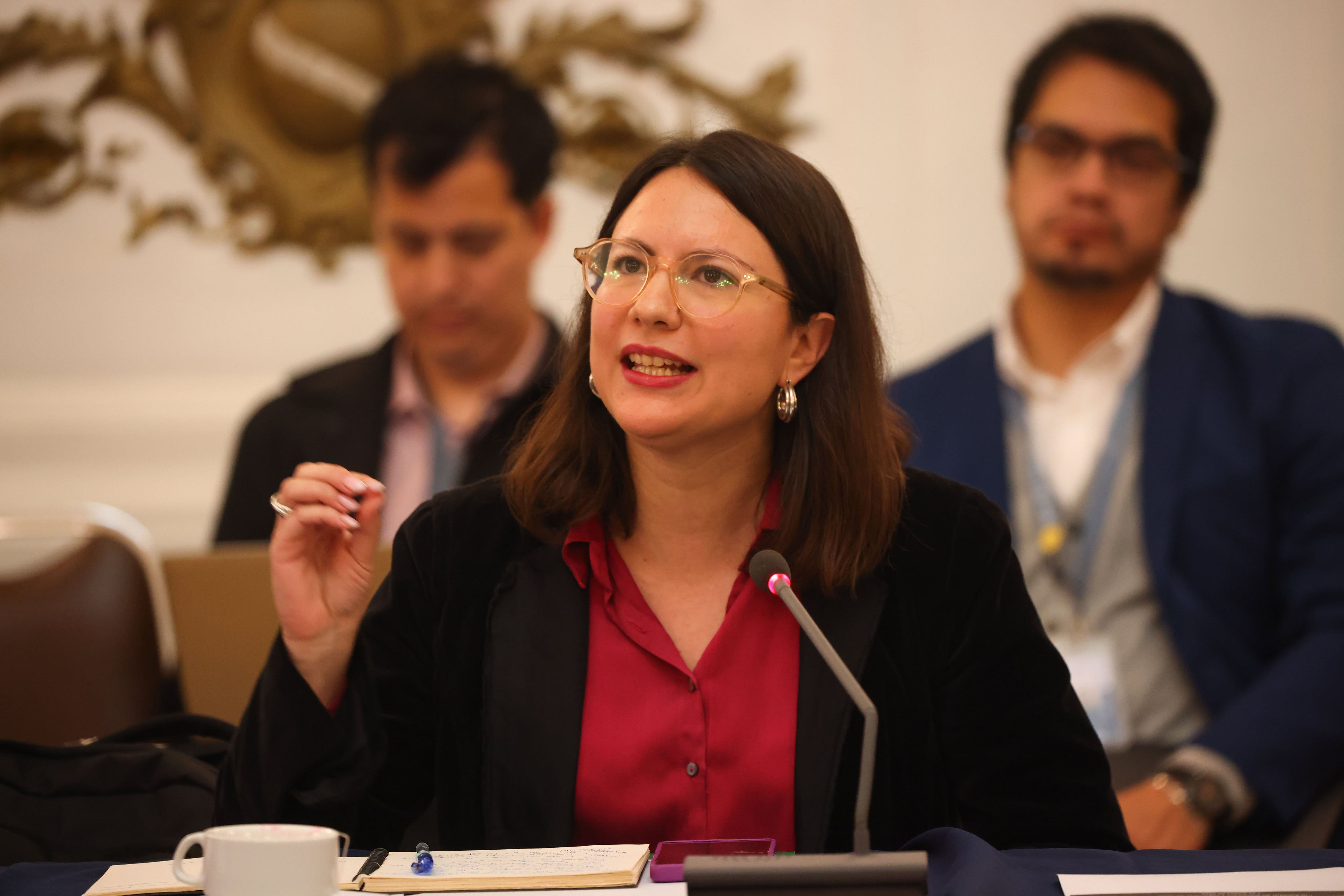 Irací Hassler demanda al Fisco y a Contraloría para anular sumario que la responsabiliza por fallida compra de Sierra Bella