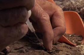 Estudio evidencia que la ropa en el Neolítico se hizo a base de fibra de árboles