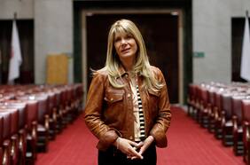 La sigilosa jugada del oficialismo y la DC para impedir la tercera candidatura senatorial de Rincón