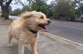 Viento, heladas bajo cero y lluvia: el pronóstico para las distintas regiones de Chile