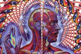 Lateralus: la secuencia matemática detrás de la icónica canción de Tool