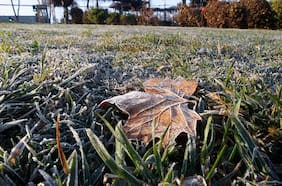 Pronostican heladas en tres céntricas regiones del país para este domingo