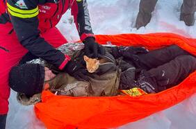La historia de una gata que salvó la vida de un hombre que arrancaba de la guerra en Ucrania