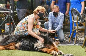 Minimizar riesgo de contagios de Covid-19: Alcaldesa Matthei implementa bebederos sanitizados para perros y gatos en Providencia