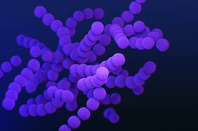Así es la nueva bacteria que la ciencia detectó que provoca caries en los dientes