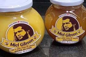 Miel Gibson: El problema es el uso de imagen, no el nombre