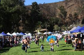 Cientos de personas asistieron a reapertura parcial del Jardín Botánico de Viña del Mar